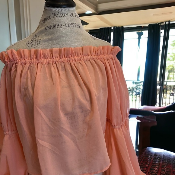 Feel beautiful in this romantic ruffled semi-sheer and feminine peach blouse - Picture 6 of 16